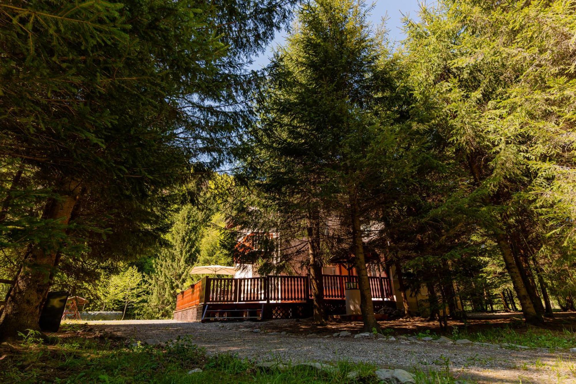 Cabana Zip Zărneşti エクステリア 写真