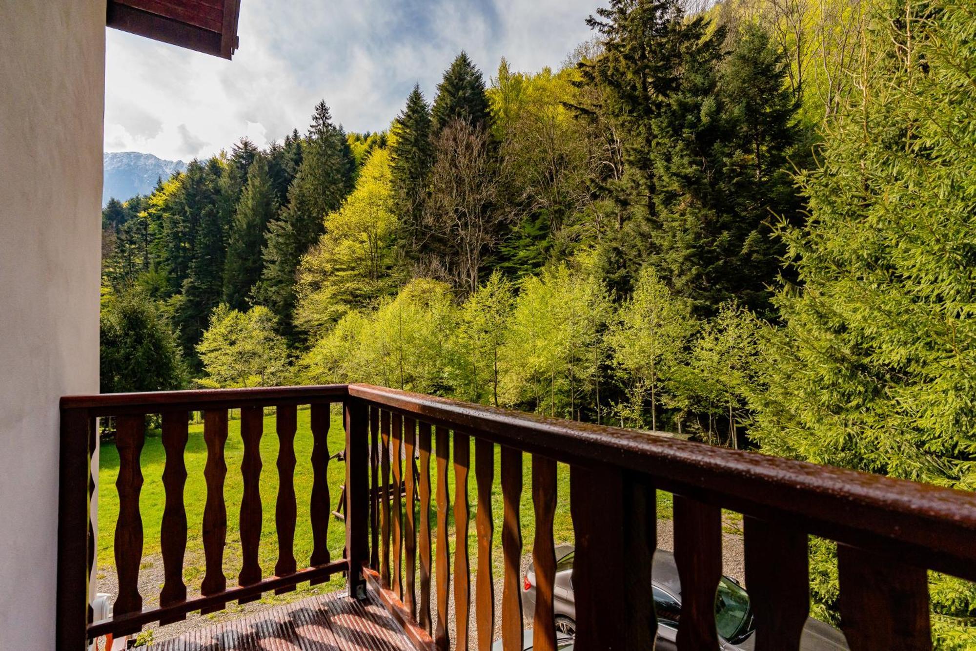 Cabana Zip Zărneşti エクステリア 写真