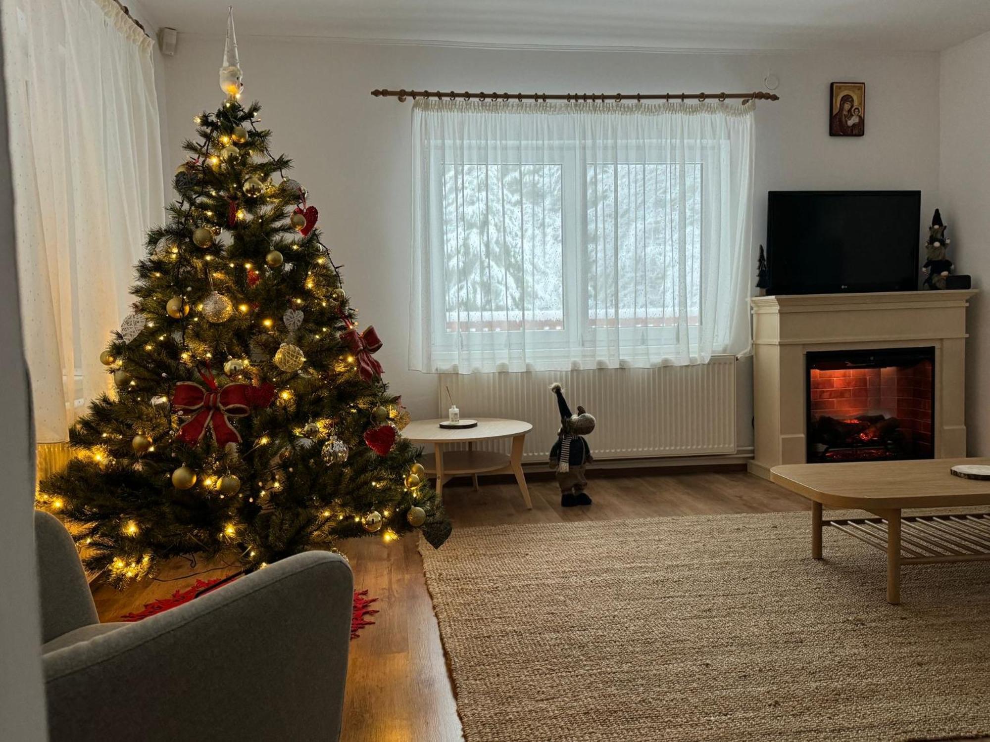 Cabana Zip Zărneşti エクステリア 写真