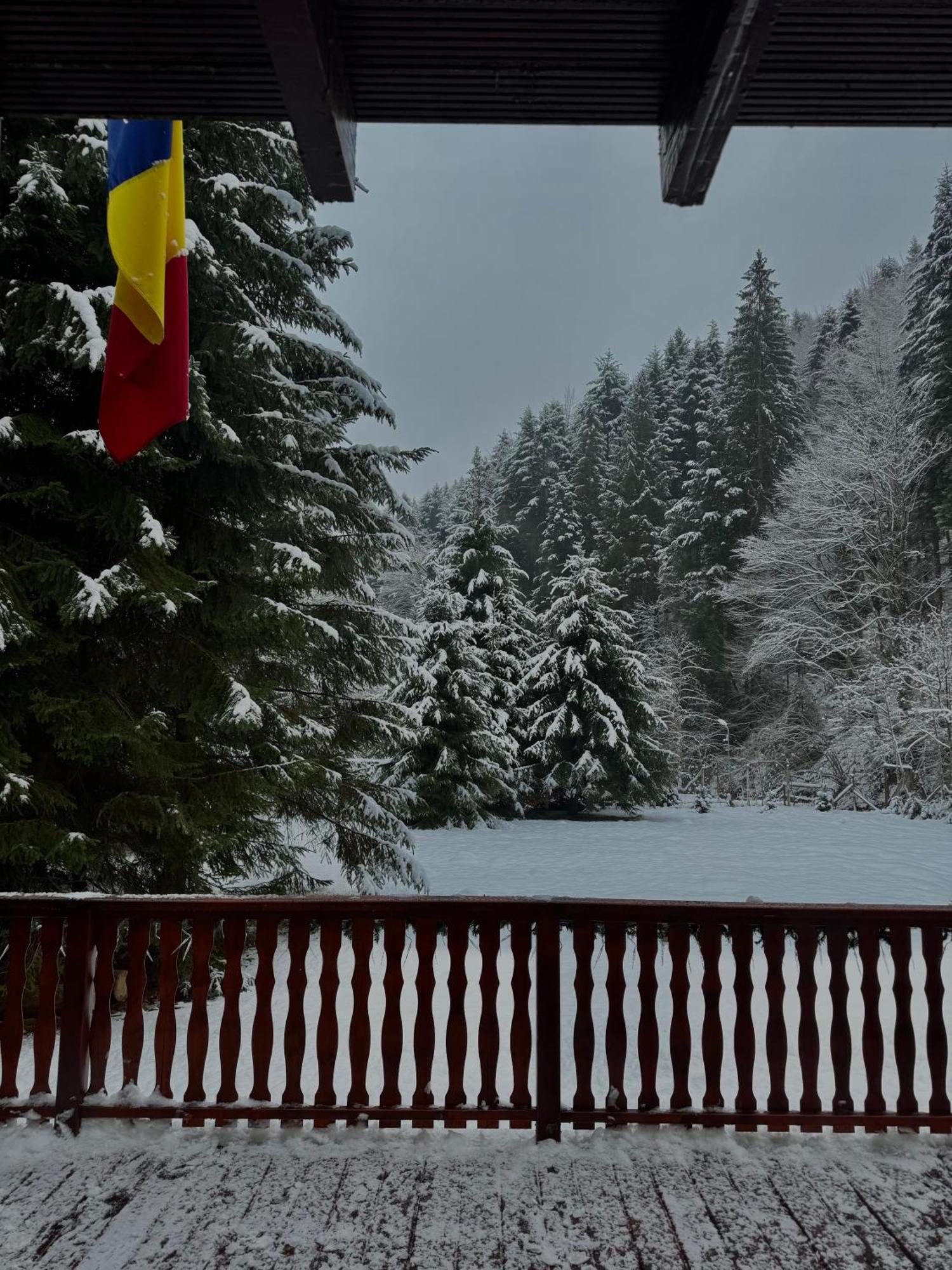 Cabana Zip Zărneşti エクステリア 写真