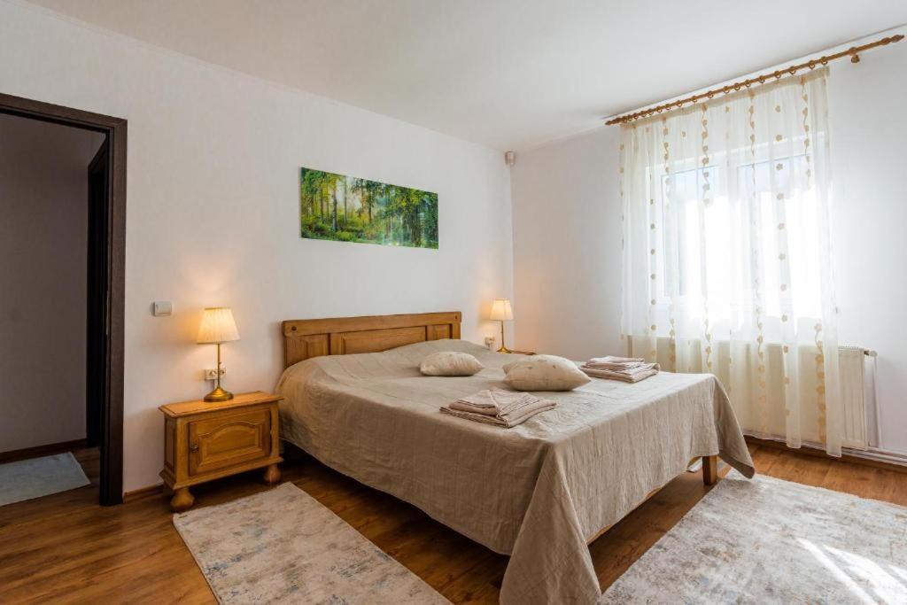 Cabana Zip Zărneşti エクステリア 写真